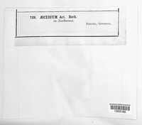 Image Associated With the Occurence